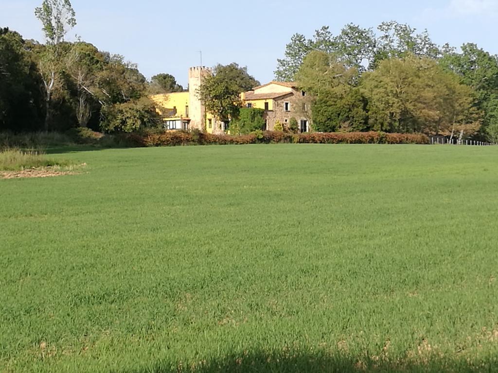 Mas Vilalonga Petit Cassà de la Selva Buitenkant foto