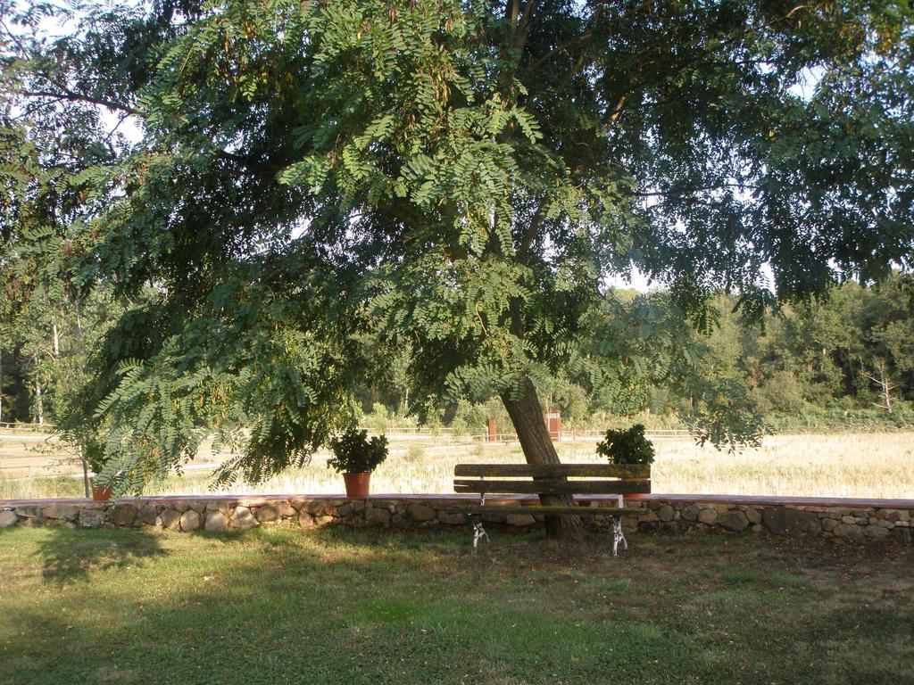 Mas Vilalonga Petit Cassà de la Selva Buitenkant foto